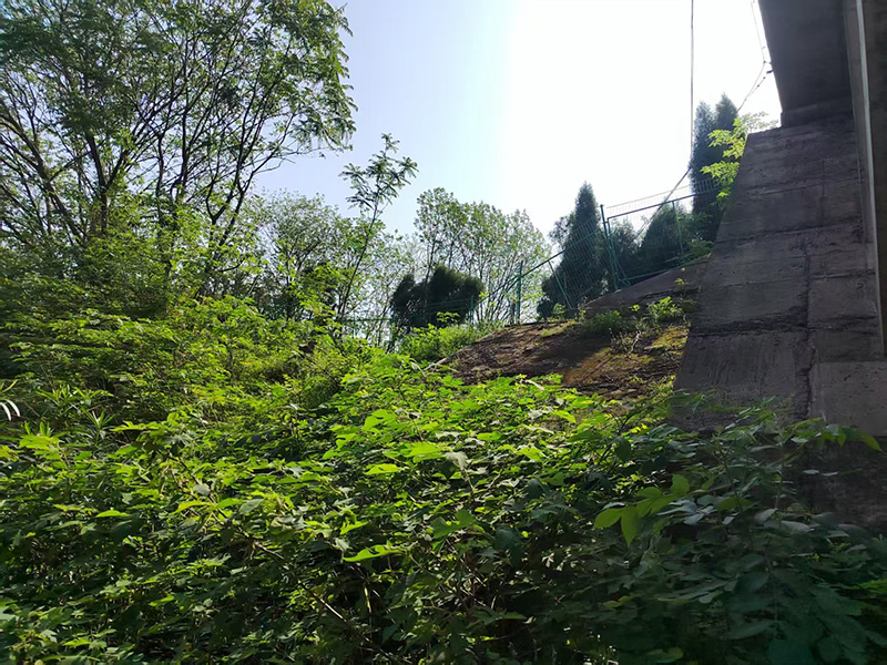 20250423139564.jpg 4.jpg